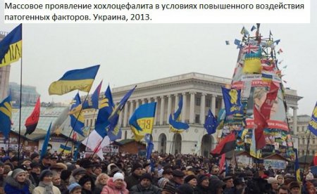 Украиноз — чума XXI века