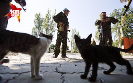 Захар Прилепин из Новороссии: здесь бродячие псы, «мирные» бомбежки и чеченцы в аэропорту
