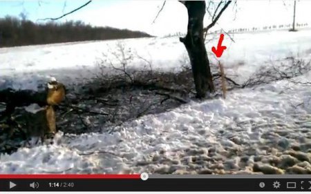 Украинская «армия» уничтожила пассажиров автобуса под Волновахой миной МОН?