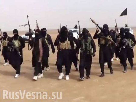 Командир ОМОНа МВД Таджикистана стал боевиком ИГИЛ