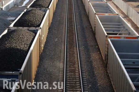 ДНР временно заблокировала поставки угля на Украину