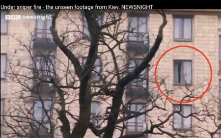 Журналист ВВС снял на видео, как из номера «свободовца» стреляли по Майдану