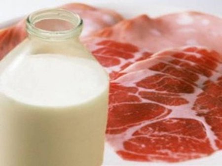 Россия готова запретить мясную и молочную продукции из Турции