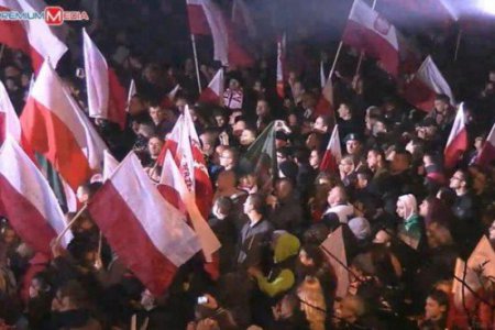 Поляки против украинского фашизма