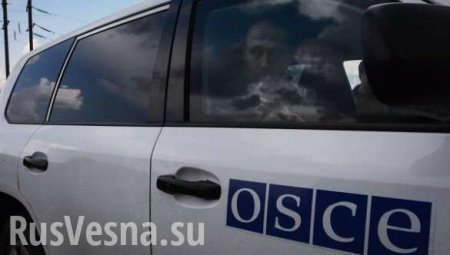 ВАЖНО: Киев готовит теракты против ОБСЕ, — Народная милиция ЛНР