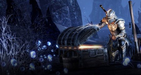 Игрок The ElderScrolls Online выиграл миллион долларов от ZeniMax
