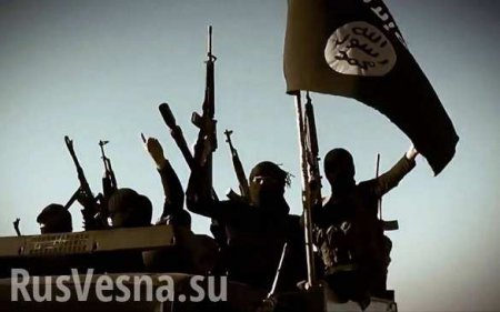 «Что мы взорвем в следующий раз» — жуткий опрос от ИГИЛ
