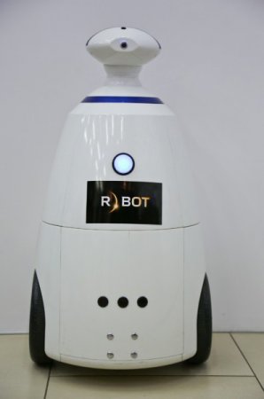 В Пензу отправился робот, который поможет детям-инвалидам