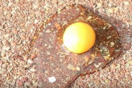 Ролик о необычном способе жарки яичницы в Австралии набрал миллион просмотр ...