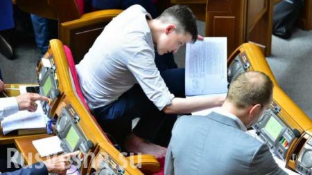 Савченко заседает в Раде босиком и на корточках (ФОТО)