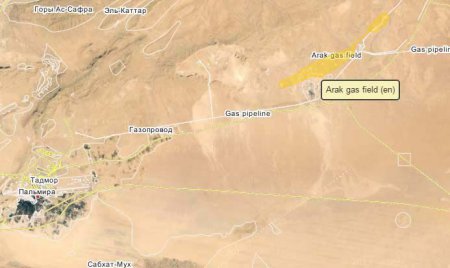 Сирийская армия подошла к месторождению Арак восточнее Пальмиры