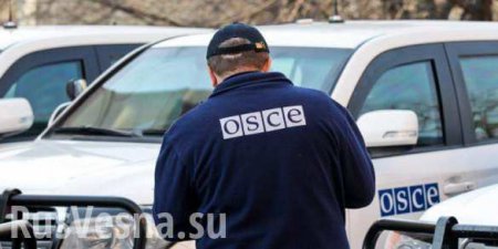 Путин согласился усилить миссию ОБСЕ в Донбассе вплоть до ее вооружения