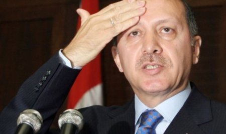 Эрдоган извинился перед Путиным за сбитого пилота. Опубликован текст послания Эрдогана Путину
