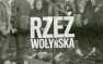 Польский сейм в первом чтении поддержал признание Волынской трагедии геноци ...