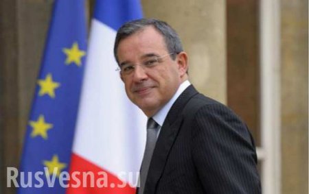 Французский депутат Мариани — о брексите, Украине, минских соглашениях и санкциях