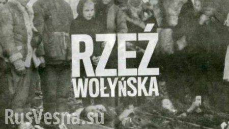 Польский сейм в первом чтении поддержал признание Волынской трагедии геноцидом