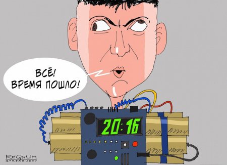 Савченко покусилась на Ростов