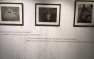 Фотоснимки обнаженных детей на скандальной фотовыставке обили мочой (ФОТО,  ...