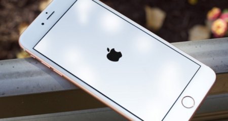 Apple выпустила исправляющее ошибки со связью обновление для iPhone 7