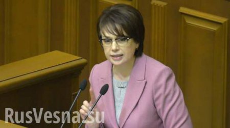 Министра образования Украины поймали на плагиате (ФОТО)