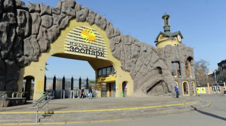 Разработка приложения Московского зоопарка подходит к концу