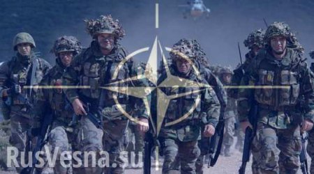 Войскам НАТО не рады в «пригородах Петербурга», — Forbes