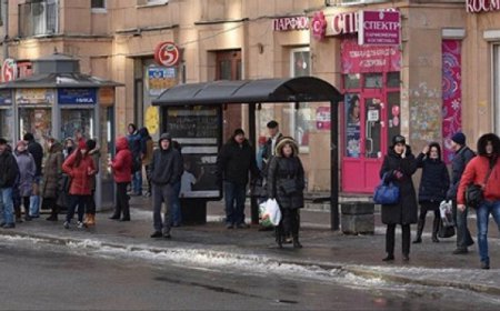 В Москве на 146 остановках можно заряжать гаджеты