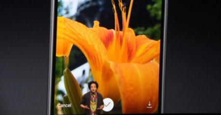 Кригер: Теперь в Instagram можно размещать GIF-изображения