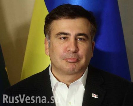 Саакашвили обвинили в посягательстве на суверенитет Украины