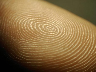 Эксперты показали программы со сканерами отпечатков пальцев для Android