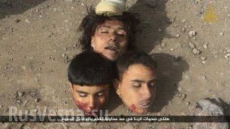 Резня в Дераа: Убиты 300 боевиков, ИГИЛ и «Нусра» режут головы друг другу (ВИДЕО, ФОТО 21+)