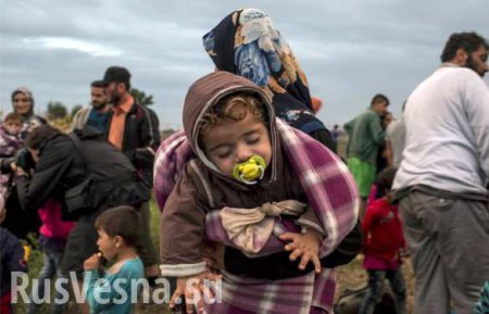 Власти США будут отбирать детей у нелегальных мигрантов, — СМИ