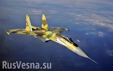 Кара с небес: Су-35 ВКС РФ разбомбил отряд боевиков на юге Идлиба в Сирии (ВИДЕО 18+)