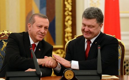 Украина предложила Анкаре помощь в размещении мигрантов на своей территории