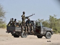 В Нигере ликвидированы 57 боевиков "Боко Харам" - Военный Обозреватель