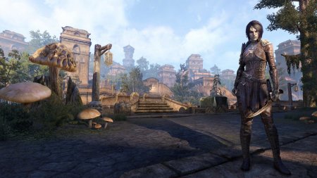 В YouTube выложили 30-минутное видео геймплея The Elder Scrolls Online: Morrowind
