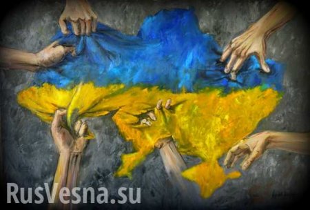 Украина окончательно утратила суверенитет, — сенатор