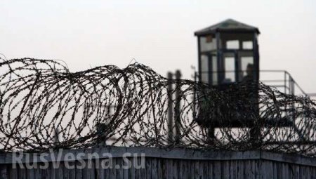 Европа призывает Украину расследовать факты жестокого обращения с заключенными