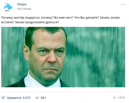 Мемы с промокшим "злым Медведевым" набирают популярность в Сети