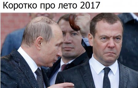Мемы с промокшим "злым Медведевым" набирают популярность в Сети
