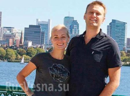 PornHub предложил Навальному выкупить видео его жены | Русская весна