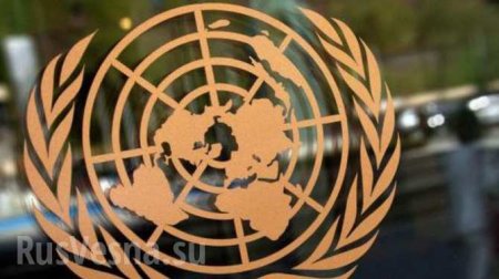 ООН сообщила о перехвате двух поставок из КНДР в Сирию | Русская весна