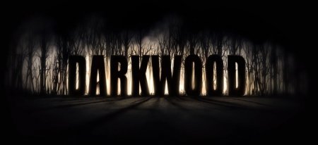 Darkwood появилась на торрентах через неделю после премьеры