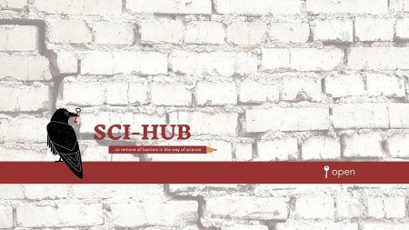 Из-за «травли» сайт Sci-Hub закрыт на территории России