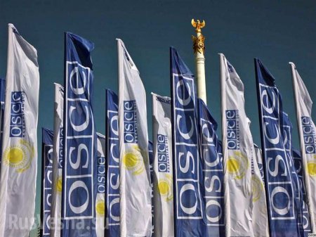 Четыре страны пожалуются на Украину в ОБСЕ