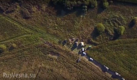 Появились кадры с места крушения военного самолета под Хмельницким (ВИДЕО)