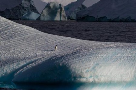 Ученые бьют тревогу: Антарктида тает, многих смоет