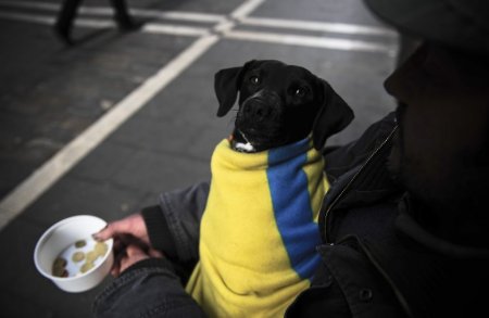 В нищете и в обиде: Киевский режим довел украинцев до обнищания