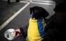 На Украине резко выросло число бедных, а экономическая политика отстала на  ...
