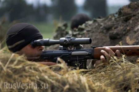 Снайпер ЛНР уничтожил «горного штурмовика» ВСУ (ФОТО)